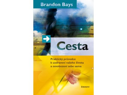 Cesta  Cesta   -  Brandon Bays
