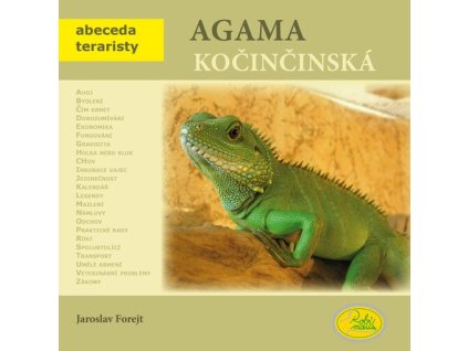 Agama kočinčinská  Agama kočinčinská   -  Jaroslav Forejt