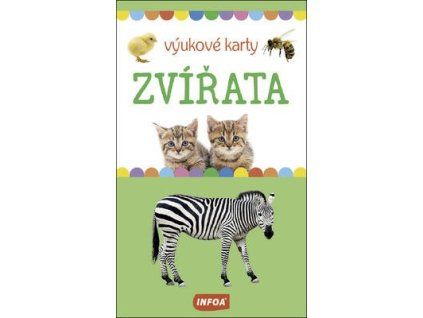 Zvířata výukové karty  Zvířata výukové karty