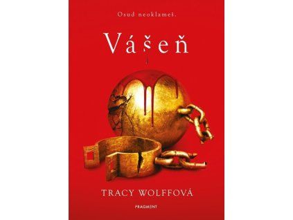 Vášeň  Vášeň   -  Tracy Wolff