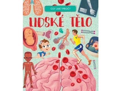 Lidské tělo  Lidské tělo
