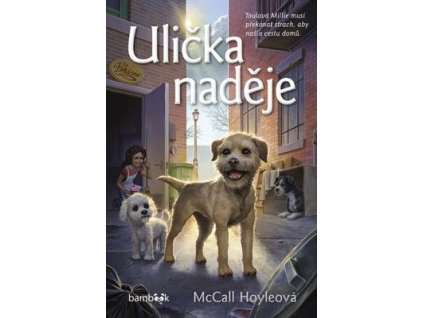 Ulička naděje  Ulička naděje - McCall Hoyleová