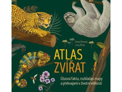 Atlas zvířat  Atlas zvířat - Anne Rooney