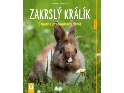 Zakrslý králík  Zakrslý králík   -  Monika Wegler