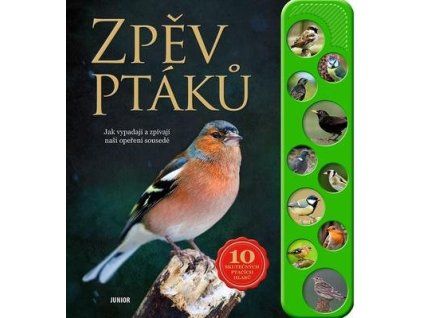 Zpěv ptáků  Zpěv ptáků