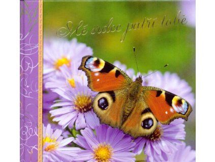 Mé srdce patří tobě  Mé srdce patří tobě   -  neznámý - neuveden