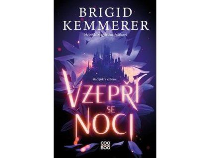 Vzepři se noci  Vzepři se noci - Brigid Kemmerer