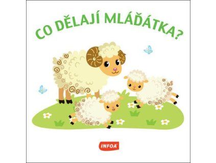 Co dělají mláďátka?  Co dělají mláďátka?