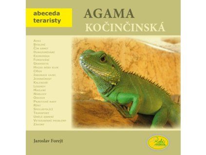 Agama kočinčinská  Agama kočinčinská   -  Jaroslav Forejt