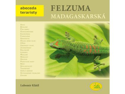 Felzuma madagaskarská  Felzuma madagaskarská   -  Lubomír Klátil
