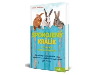 Spokojený králík  Spokojený králík - Diana Bachmann