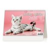 Kočky 2026 - stolní kalendář  Kočky 2026 - stolní kalendář