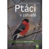 Ptáci v zahradě: Kniha pro celou rodinu  Ptáci v zahradě: Kniha pro celou rodinu   -  Engelbert Kötter