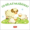 Co dělají mláďátka?  Co dělají mláďátka?