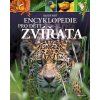 Moderní encyklopedie pro děti Zvířata  Moderní encyklopedie pro děti Zvířata - Michael Leach