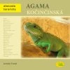 Agama kočinčinská  Agama kočinčinská   -  Jaroslav Forejt