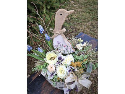 Proutí ošatka husa