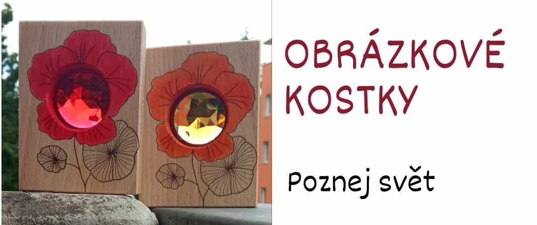 Obrázkové kostky