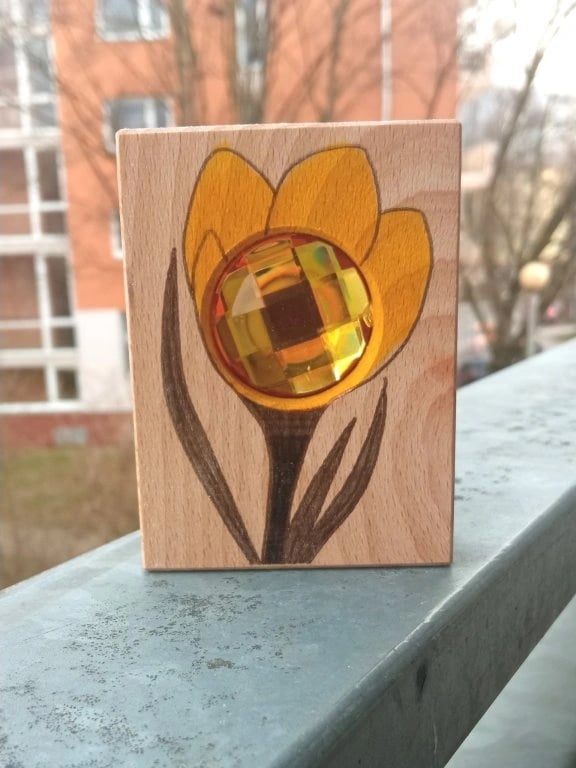 krokus