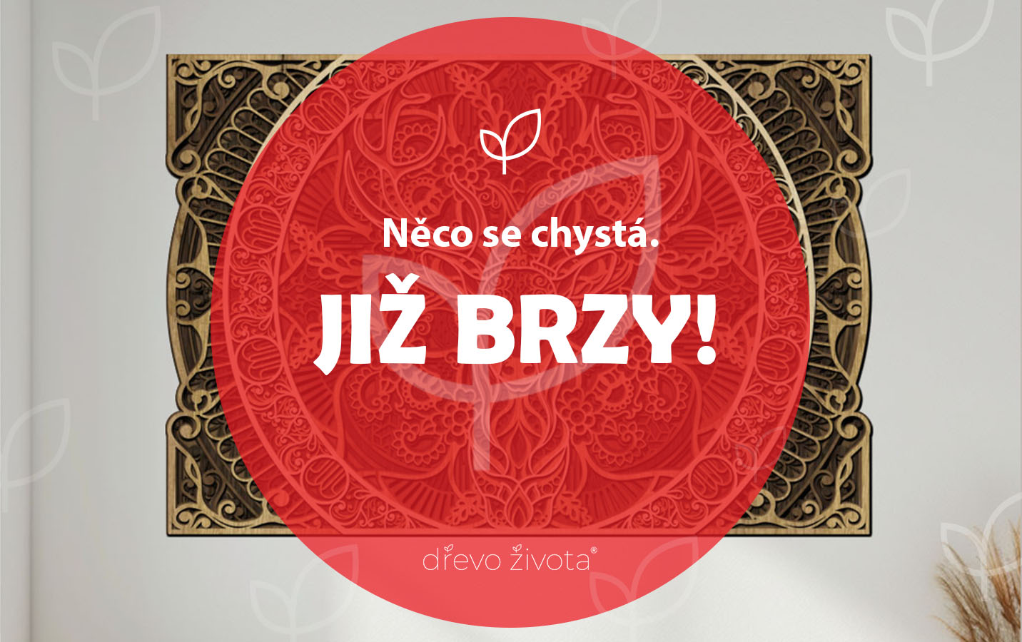 Něco se chystá. Již brzy!