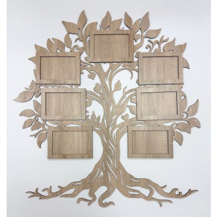 strom příbehu dub sonoma