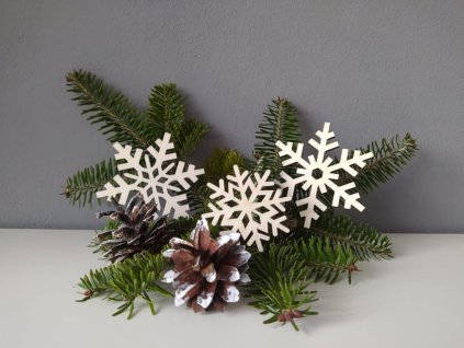 258880305 1052408285592977 5806755280624209354 n