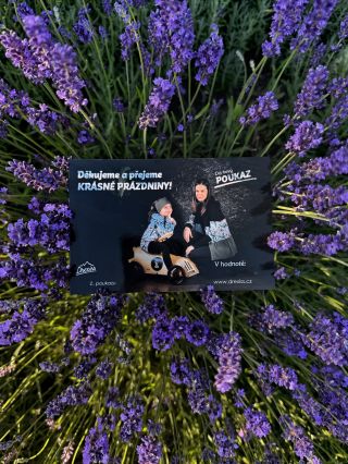 💜 🔍 Hledáte poděkování pro učitele, trenéry nebo vedoucí kroužků? Dárkový poukaz je vždy sázkou na jistotu. 😉✔️ Vyřešíte...