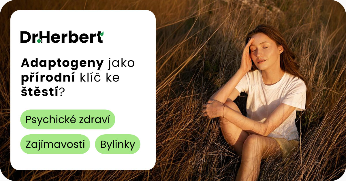 Adaptogeny: Klíč k rovnováze a vitalitě