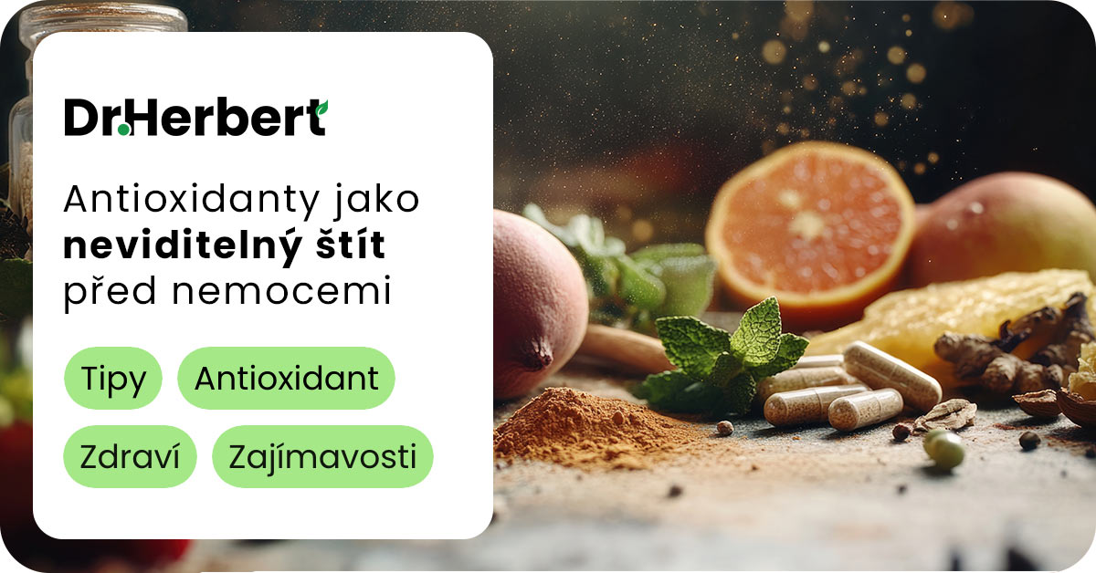 Jak nás antioxidanty chrání: Klíčové potraviny a doplňky pro zdravý život