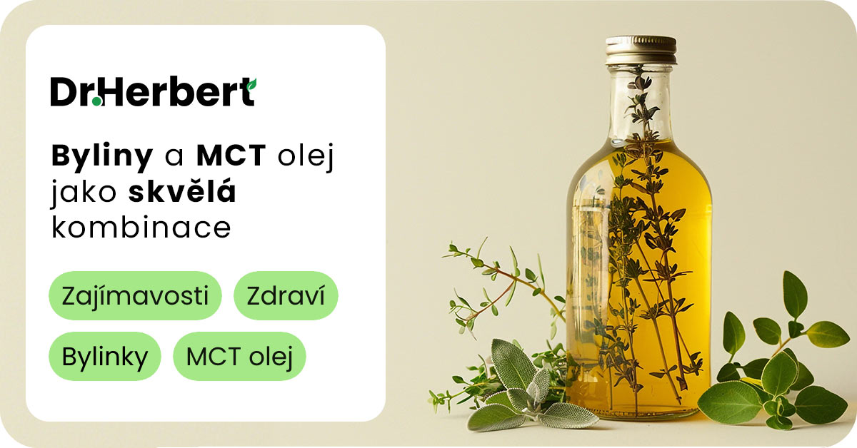 MCT olej a byliny: Co se děje v těle po požití a jak využít jeho plný potenciál