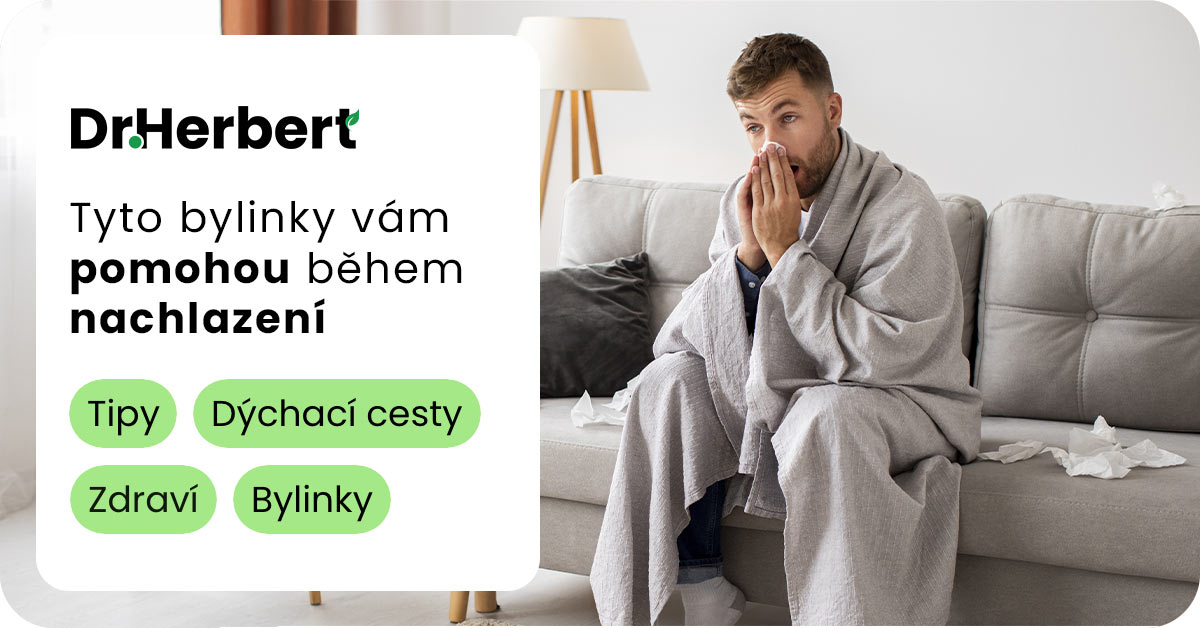 Byliny pro podporu dýchacích cest: Jak se chránit v období nachlazení