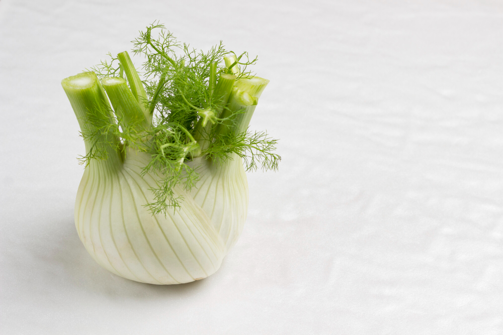 Fenykl: Účinky fenyklu na zdraví a zažívání 💚