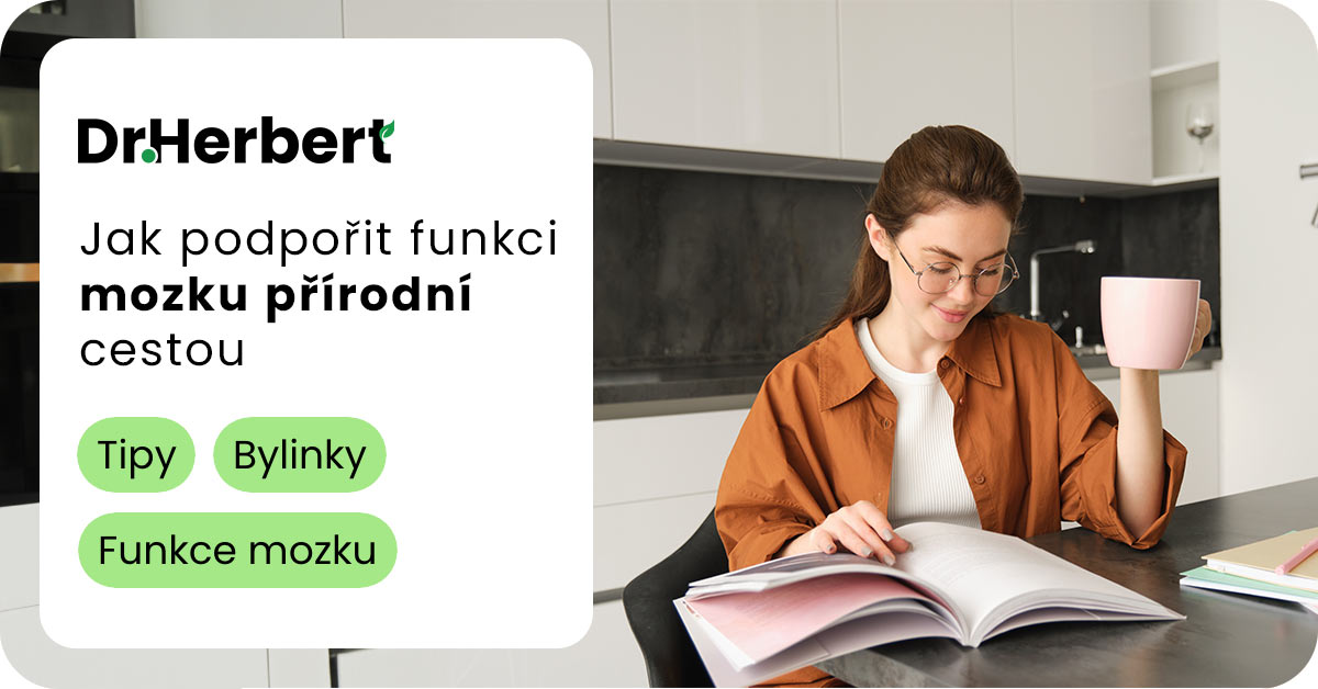 Bylinky pro zlepšení paměti a soustředění: Jak podpořit mozek přírodní cestou