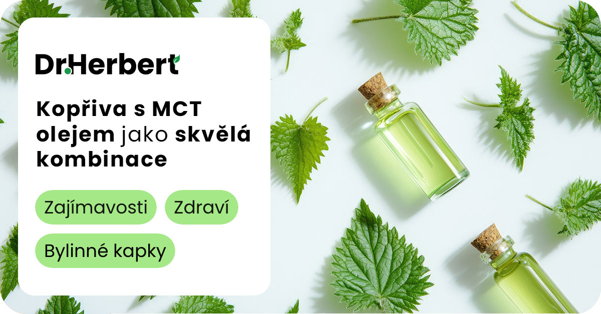 Zdravotní účinky a benefity doplňku stravy obsahující MCT olej a extrakt z Kopřivy