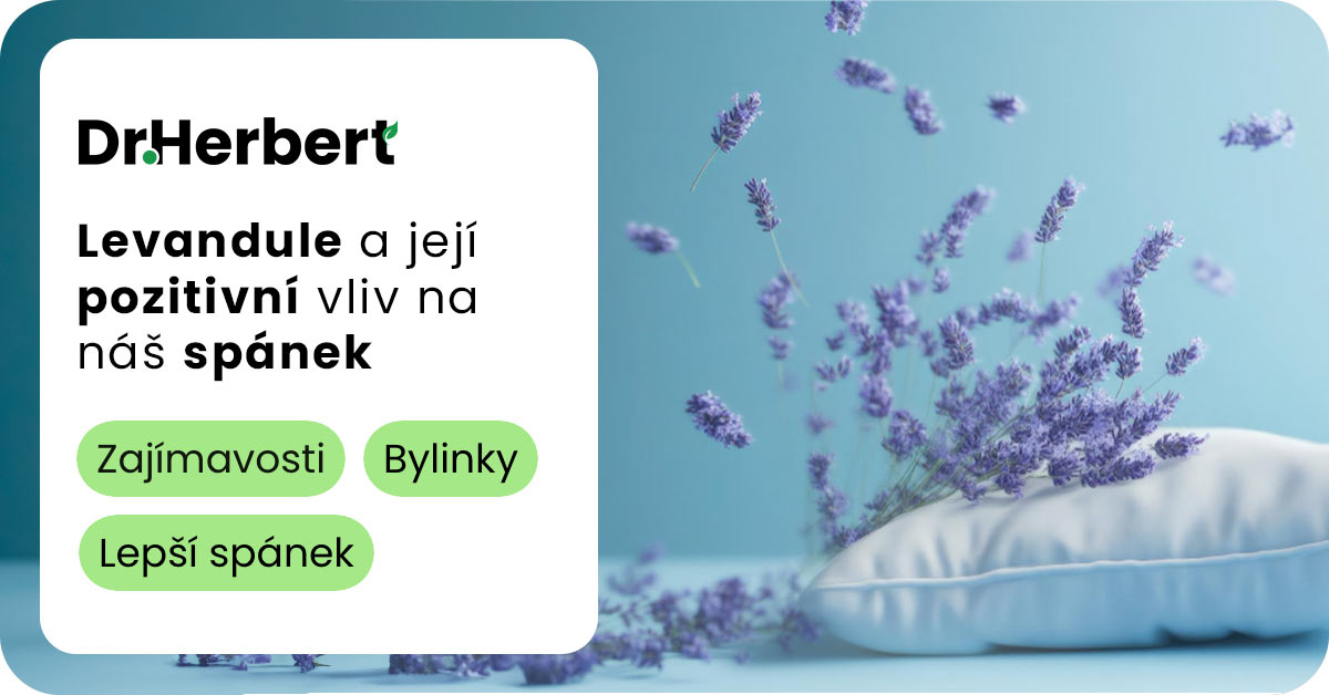 Levandule: Jak vám její vůně může pomoci usnout