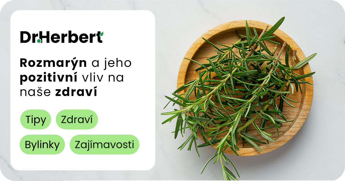 Rozmarýn a jeho zdravotní přínosy pro organismus