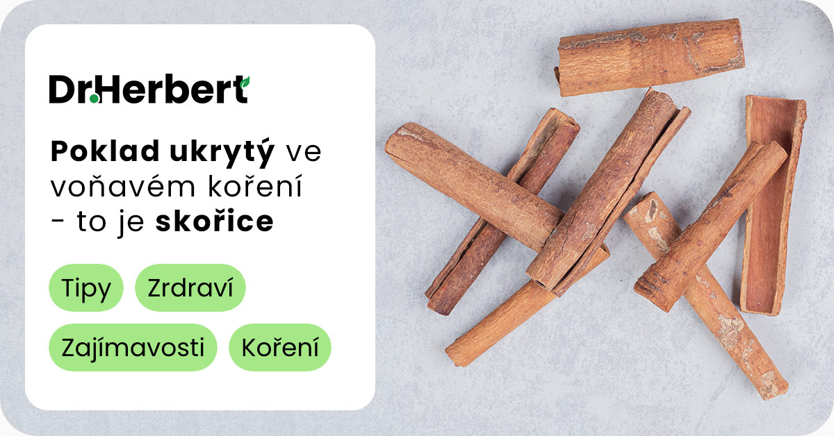 Tajemství skořice: Poklad ukrytý ve voňavém koření