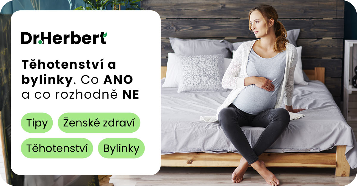Nejlepší bylinky pro zdravé těhotenství: Co zařadit a čemu se vyhnout