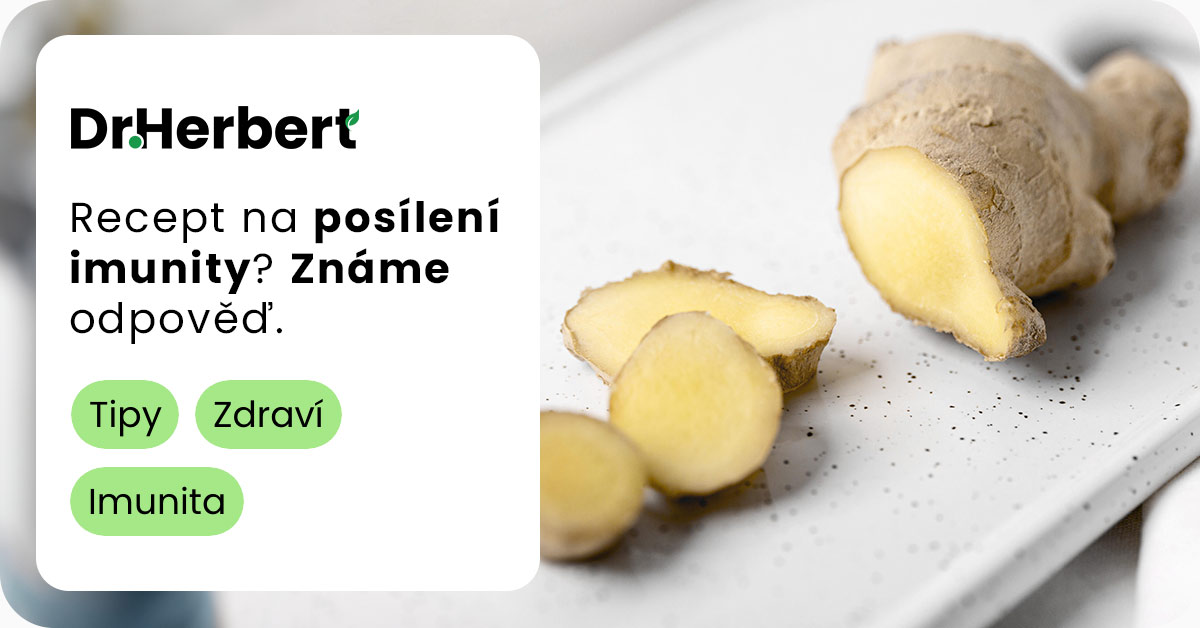 Poklad zvaný Zázvor: Posílení imunitního systému