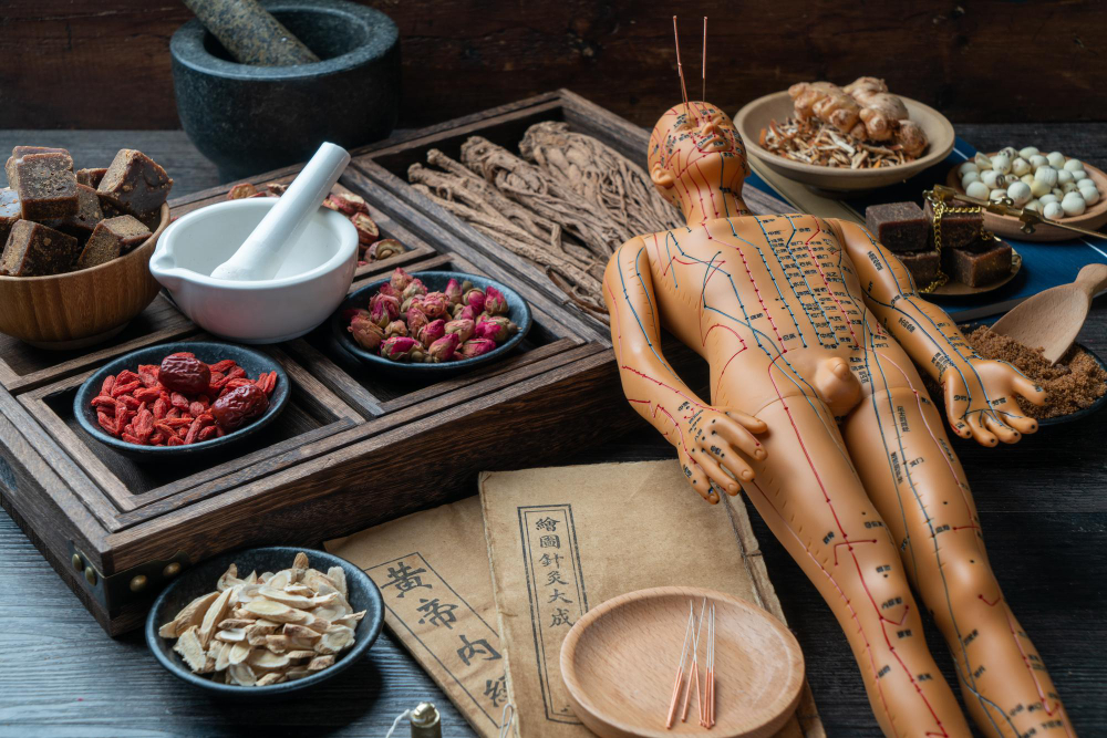 Na obrázku je tradiční čínská medicína s bylinami a akupunkturní figurínou – symbol filozofie, z níž pochází houba Reishi (Ganoderma lucidum). Reishi, známá také jako houba nesmrtelnosti, je jednou z nejcennějších hub TČM podporujících rovnováhu těla i mysli.