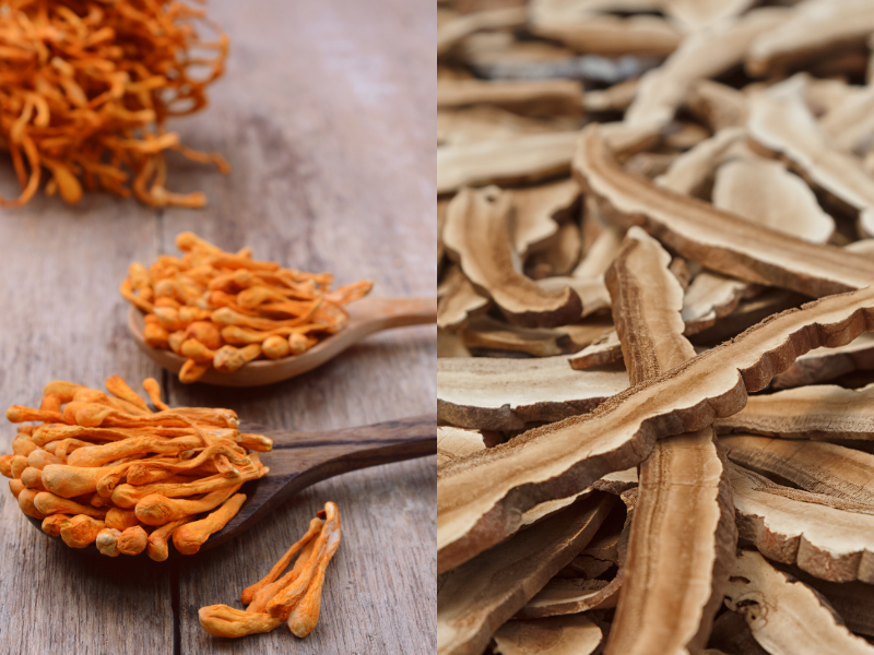 Cordyceps a Reishi – vitální houby pro rovnováhu těla: sušené plodnice a kapky jako přirozená podpora energie, imunity a klidu.