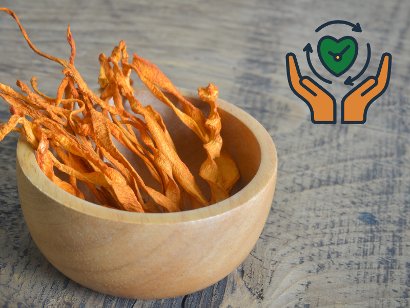 Sušené plodnice houby cordyceps v dřevěné misce – symbol přirozené vitality a tématu cordyceps dlouhodobě užívání a jak užívat cordyceps.