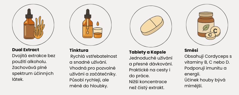 Infografika čtyř forem houby cordyceps – cordyceps dual extract, cordyceps tinktura, cordyceps tablety a cordyceps vitamin směsi s přehledem jejich hlavních výhod.