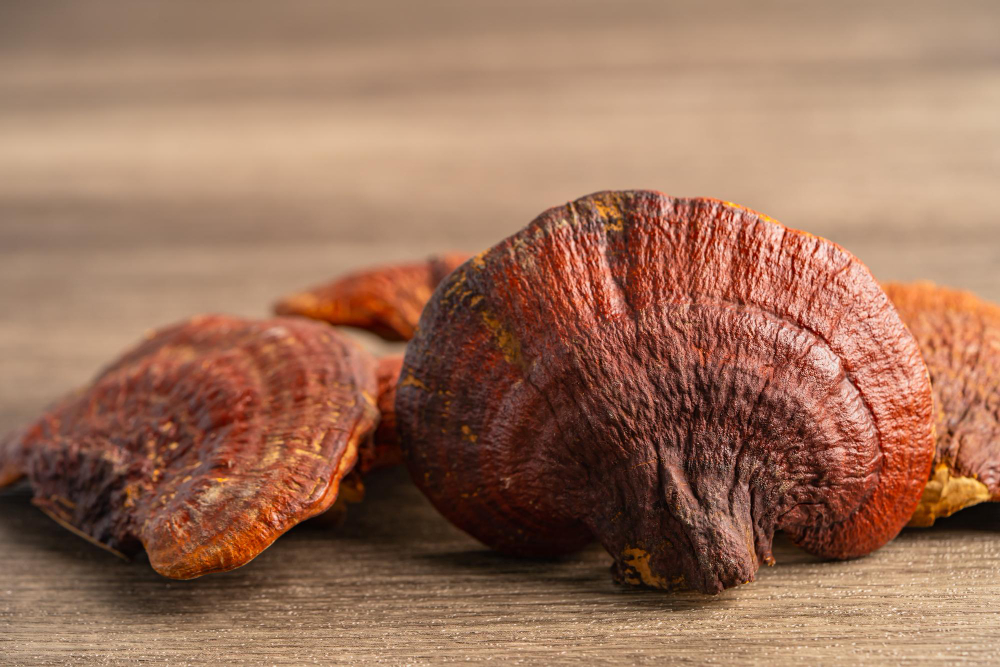 Na obrázku je houba Reishi (lesklokorka lesklá), známá také jako Ganoderma lucidum. Tato čínská houba Reishi se využívá v tradiční medicíně pro své účinky na imunitu, rovnováhu těla a dlouhověkost.
