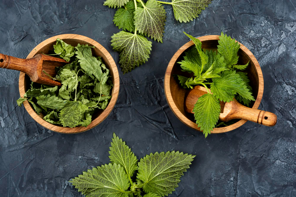kopriva-prirodni-zdroj-vitaminu-mineralu-a-ucinneho-caje-pro-posileni-imunity-a-detoxikaci