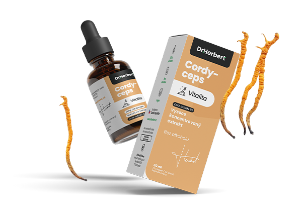 Cordyceps Dr. Herbert – nejlepší přírodní extrakt z houby Cordyceps sinensis. Podporuje imunitu, energii a vitalitu bez alkoholu.