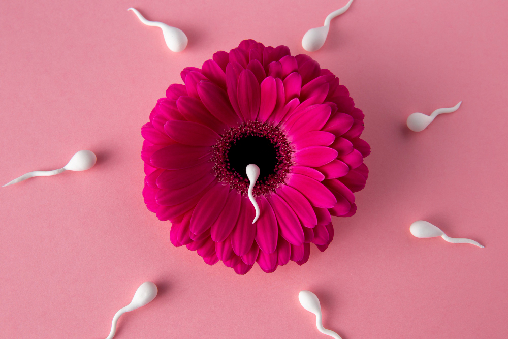 plodnost-podpora-plodnosti-kontryhelovy-caj-na-otehotneni-kontryhel-caj-ucinky-kontryhelova-tinktura-kontryhel-pro-zdravi-zen-reprodukce-menstruace-hormonalni-rovnovaha