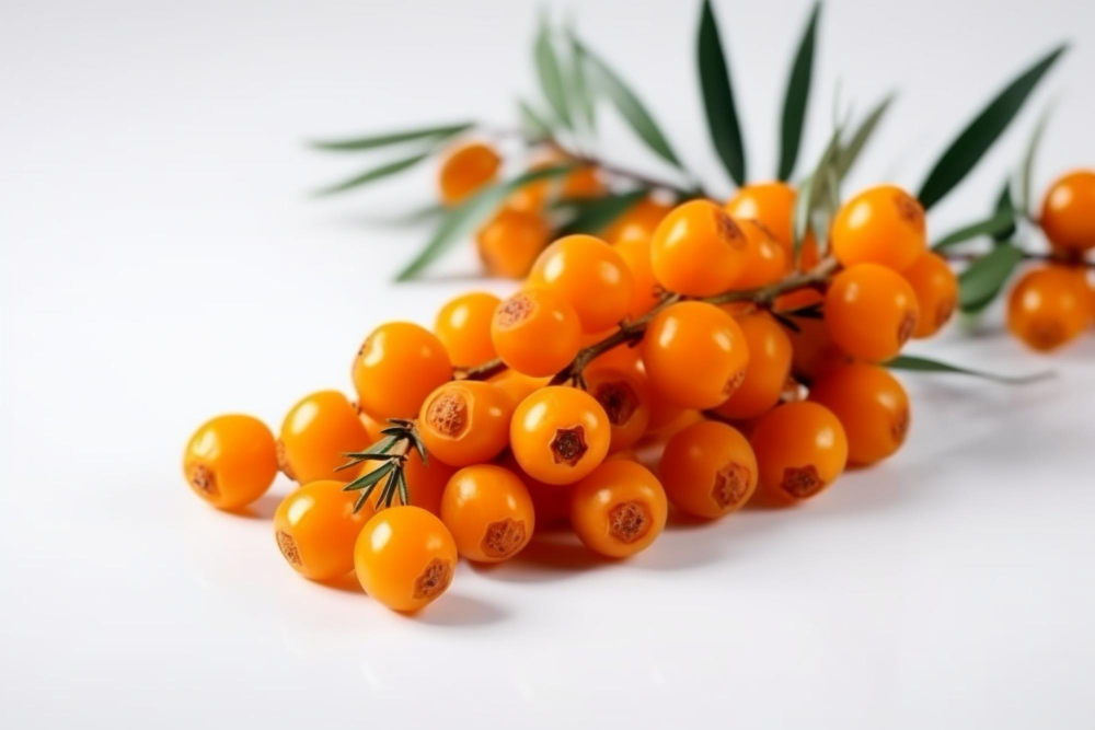 rakytnik-prirodni-zdroj-vitaminu-c-podpora-imunity-cerstve-plody