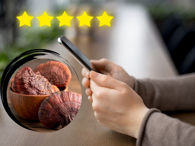 Hodnocení pěti hvězdičkami u fotografie houby Reishi symbolizující reishi zkušenosti, recenze a diskuze o účincích na zdraví a psychickou pohodu