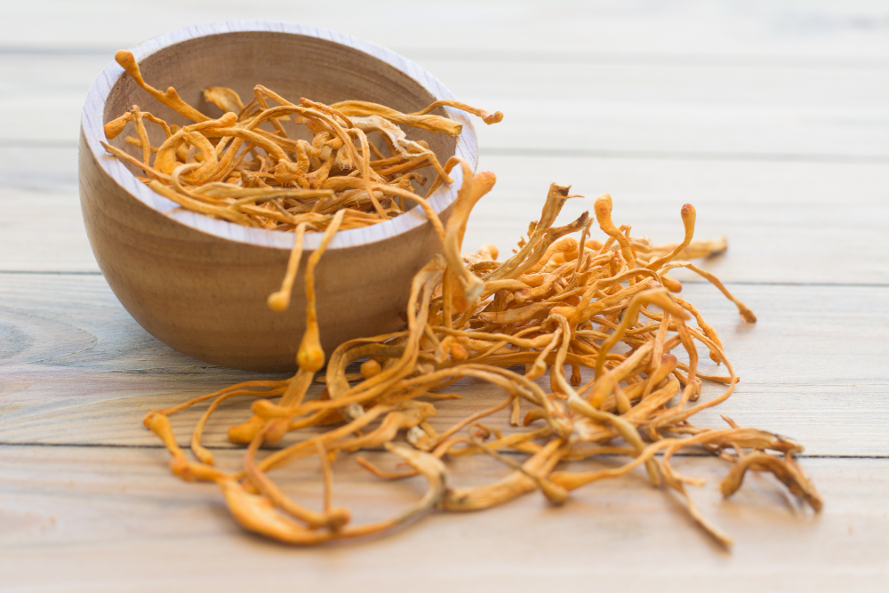 Sušená houba cordyceps v dřevěné misce na světlém podkladu
